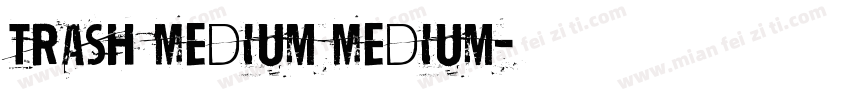 Trash Medium Medium字体转换